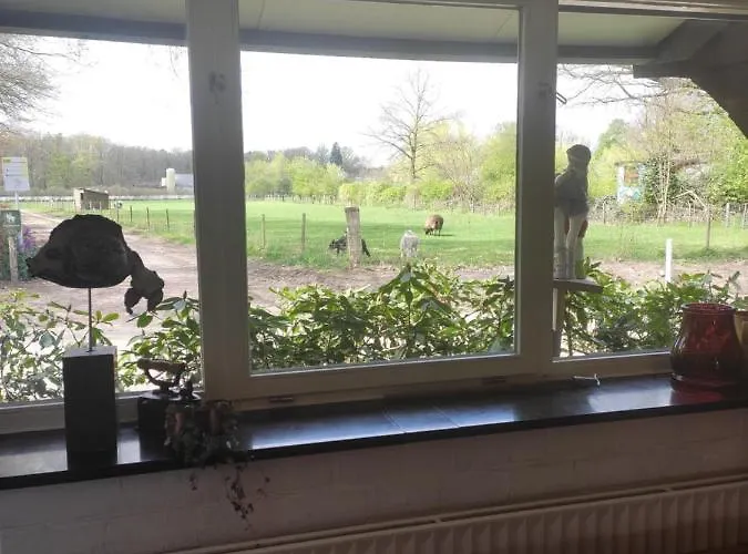 Апартаменты Bergerhof De Stal Севенум