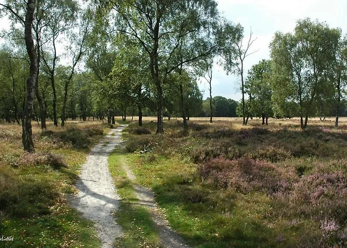 Bergerhof De Stal Appartamento *